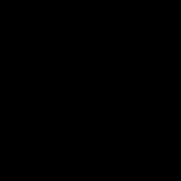 Meet your Posher, Parryk - Picture 1 of 1